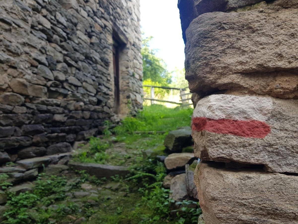La Baita Di Francesca Montecrestese Zewnętrze zdjęcie